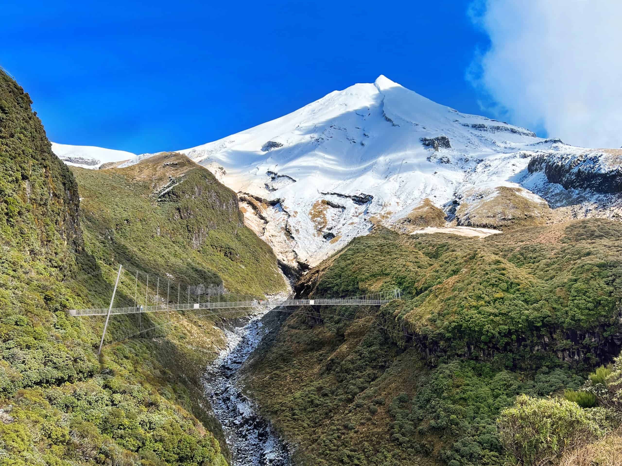 Manganui Gorge Suspension Bridge - Visualisation #1